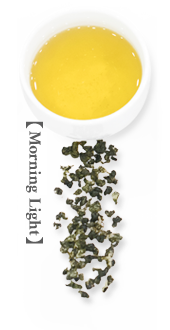 Morning Light Morning Light