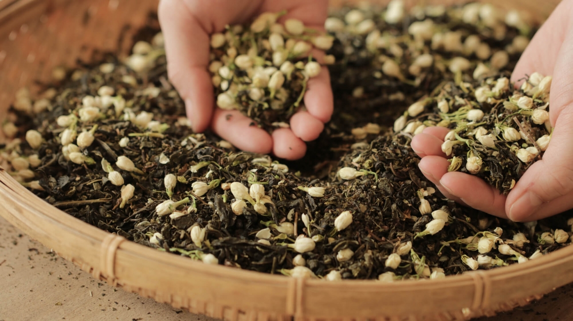 IMG_1122 (1) IMG_1122 (1)