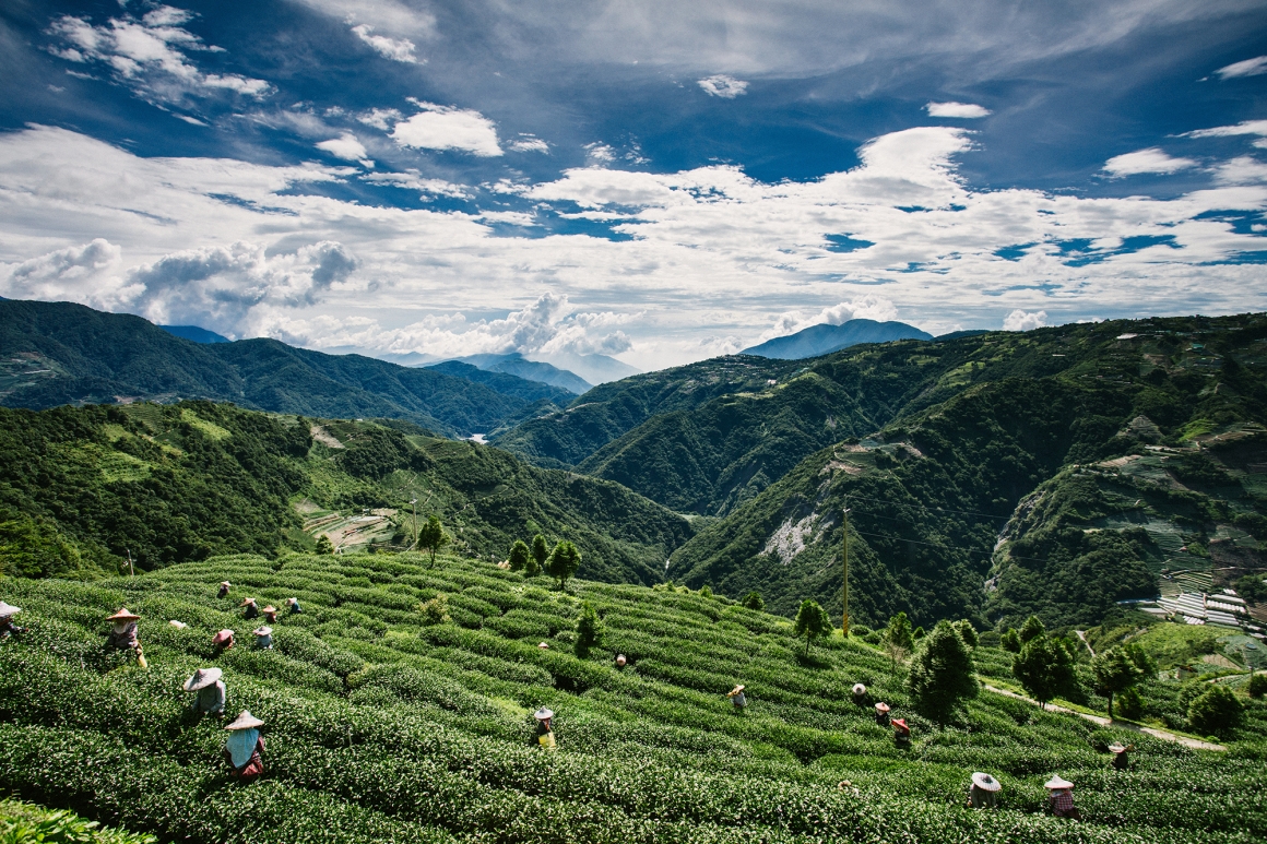 BN4A5951 (2) BN4A5951 (2)